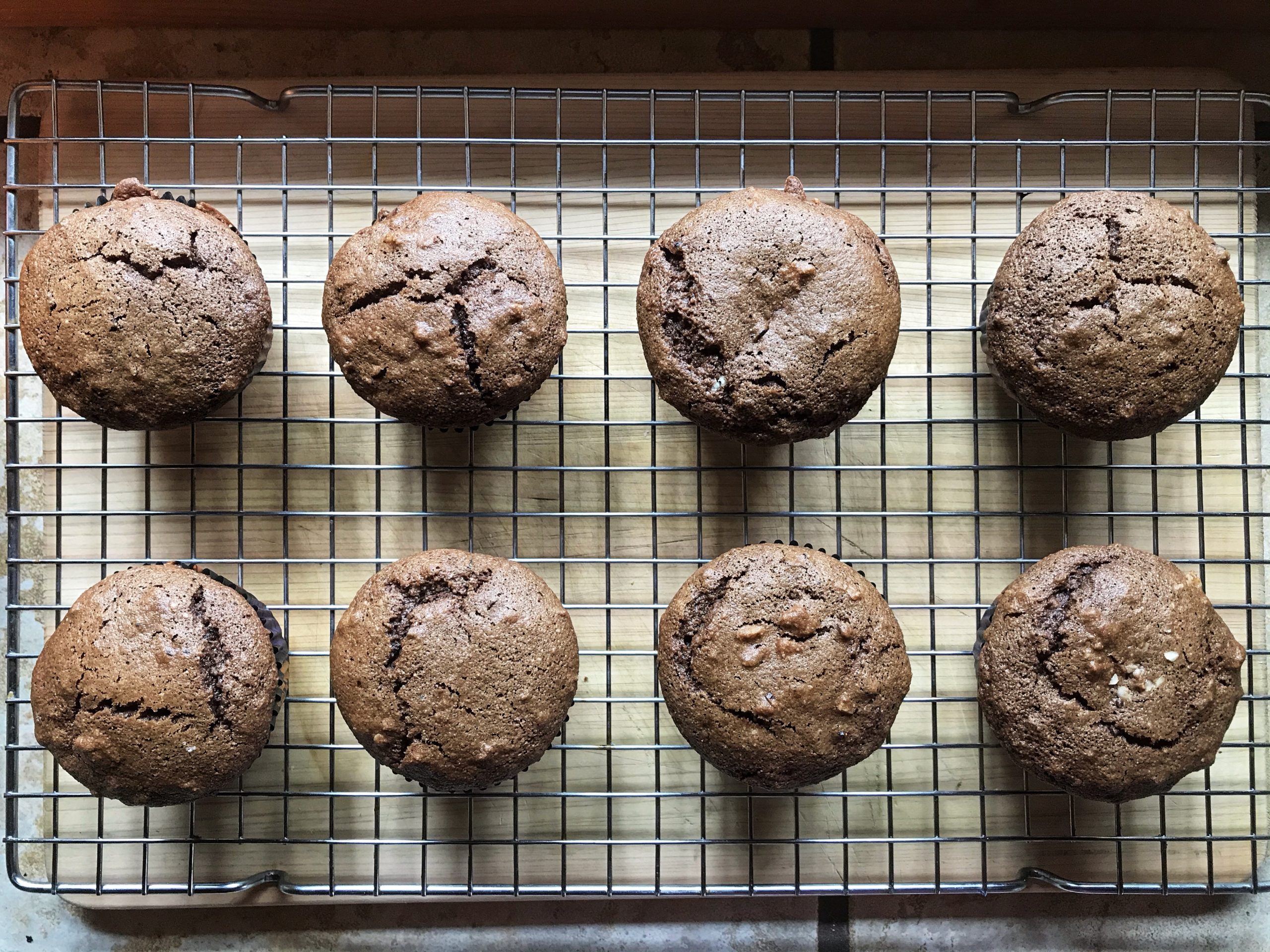 Chocolate Muffins – Kara Keels
